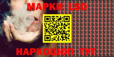 дмт Ярославль