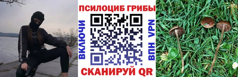 Галлюциногенные грибы прущие грибы  дарнет шоп  Кореновск 